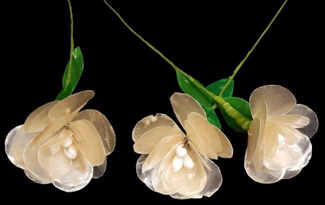 Heirloom Hourglass wedding shop Ivory Seashell Flower Stems - 1 Dozen (12) Stems