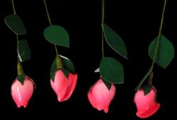 Heirloom Hourglass wedding shop Pink Rose Seashell Flowers - 1 Dozen (12) Stems