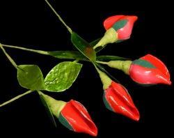 Heirloom Hourglass wedding shop Red Rose Seashell Flowers - 1 Dozen (12) Stems