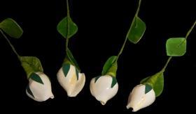 Heirloom Hourglass wedding shop White Rose Seashell Flowers - 1 Dozen (12) Stems