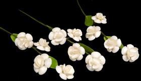 Heirloom Hourglass wedding shop White Seashell Flower Stems -1 Dozen (12)